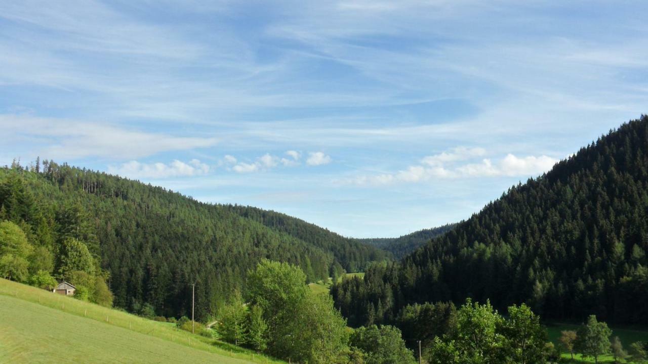 Ferienwohnung Kaufmann Baiersbronn Extérieur photo